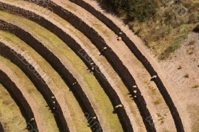 Inca ruins