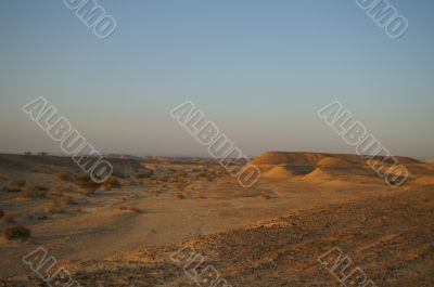 Desert landscape