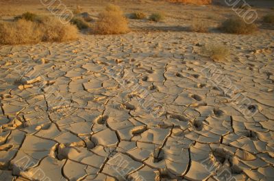 Dry soil - ecology disaster