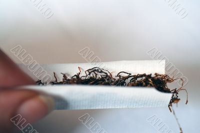 Rolling a Cigarette