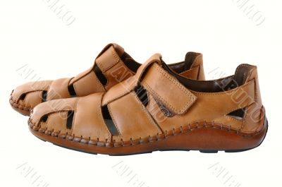 Man`s  leather brown shoes.