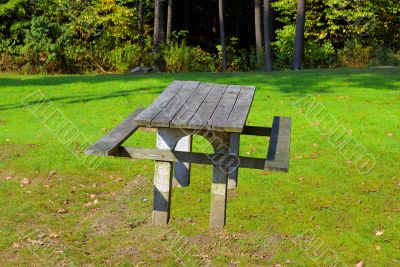 Picnic Table