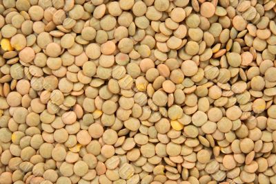 Green lentils background