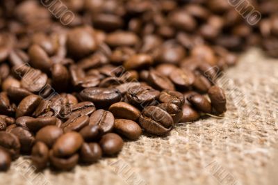 Freshly roasted coffee beans on sackcloth Freshly roasted coffee beans on sackcloth