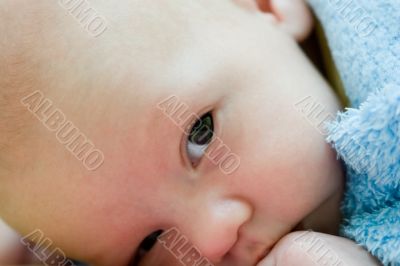 Little baby head close-up Little baby head close-up