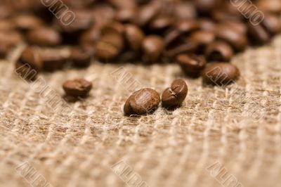 Freshly roasted coffee beans on sackcloth