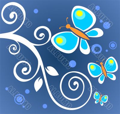 butterflies and white curls butterflies and white curls