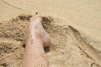 Woman foot Woman foot