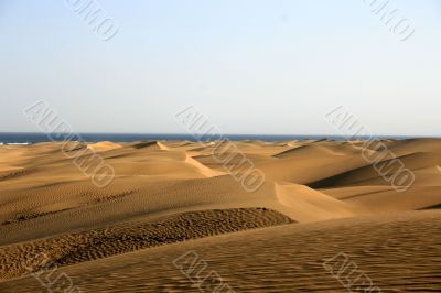 Dunes of Maspalomas
