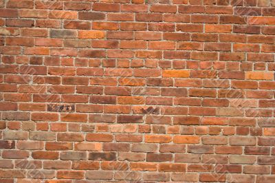the wall the wall