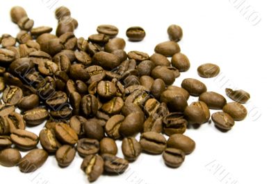 coffe beans