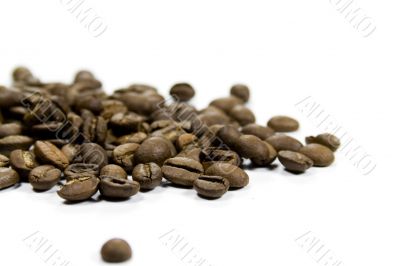 coffe beans close-up
