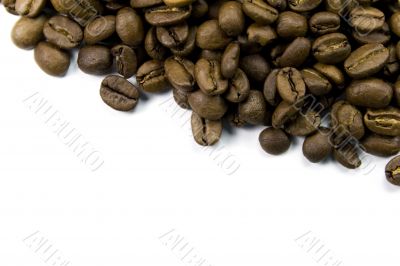 coffe beans