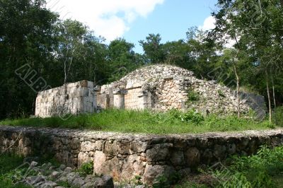 Mayan tomb in jungle