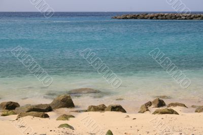 Beach in the Tropics Beach in the Tropics