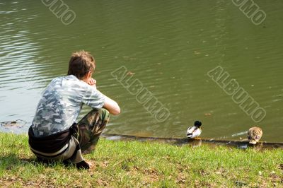 Man and ducks