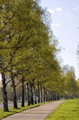 Pavement on a city park