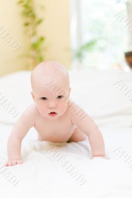 Baby crawling on bed at bedroom Baby crawling on bed at bedroom