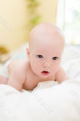 Baby crawling on bed at home