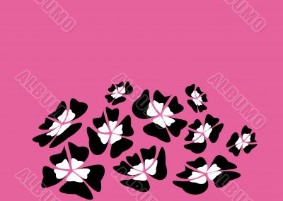 pink background with black flowers