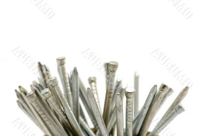 nails macro