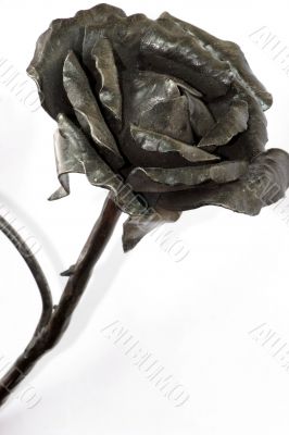 Rose from the metal