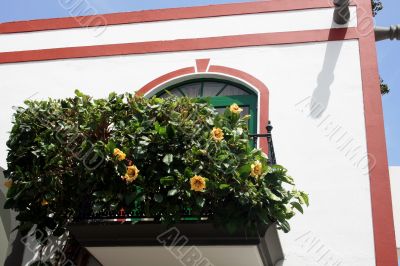 Green Balcony