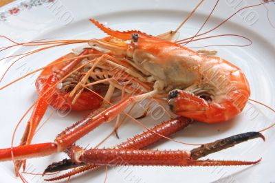 Cooked prawn