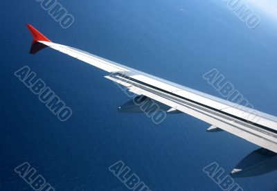 Wing of the plane