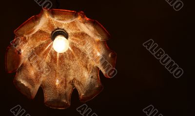 Ceiling Light