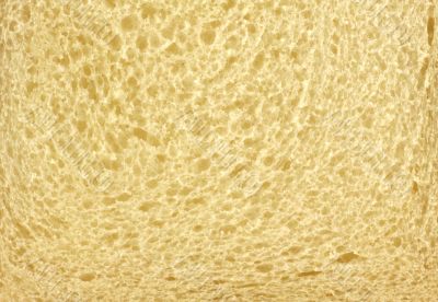 Bread Texture