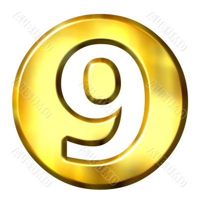 3D Golden Framed Number 9