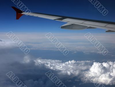Wing of the plane