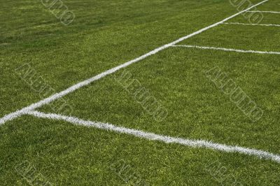 Emerald grass of a playing field Emerald grass of a playing field