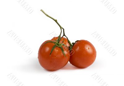 Three red tomatoes with shadow Three red tomatoes with shadow