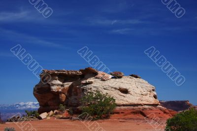 Red Rock  Canyonlands National Park