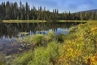 Reflections in water.