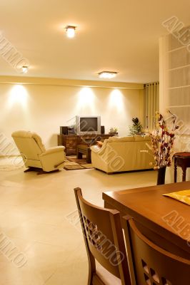 living room 1 living room 1