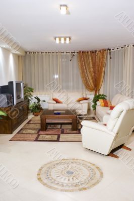 living room living room