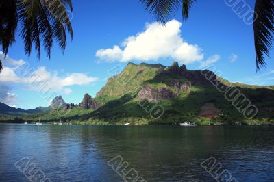 tropical French Polynesia