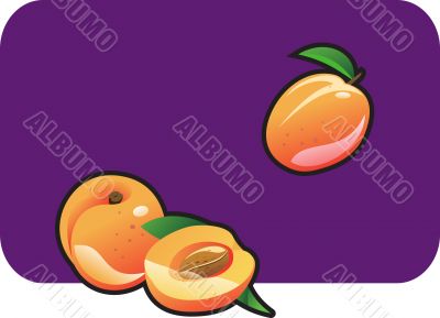 apricot