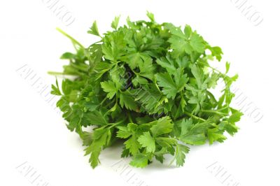 Parsley