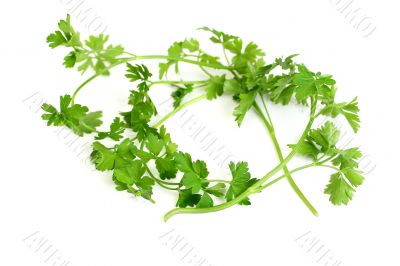 Parsley