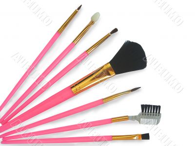 Brushes for cosmetics