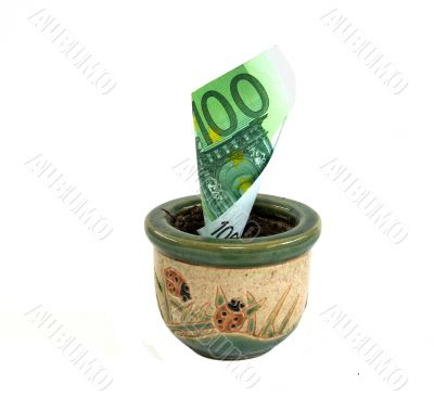 Banknote 100 euros which grows in pot