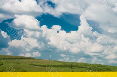 rape field