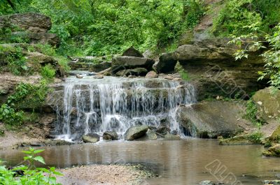 rapids in the forest