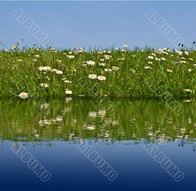 Meadow water