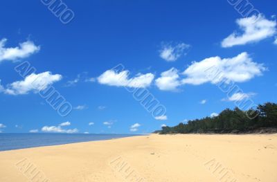 beach with beautiful cumulus