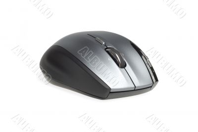 Computer Mouse